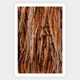 Stringy Bark Tree Texture Sticker